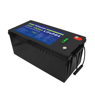 Bms'li 100Ah 150Ah 200Ah 300Ah 24v Lifepo4 Pil